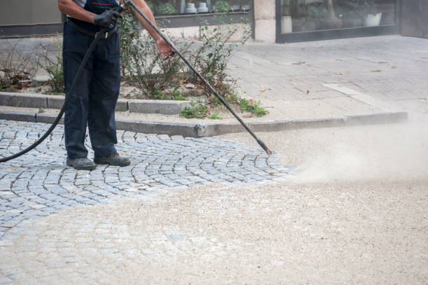 Best Animal Enclosure Cleaning  in Avilla, IN