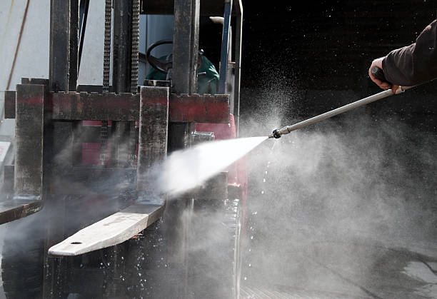 Best Roof Washing  in Avilla, IN